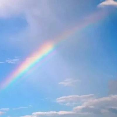 云开全站登录app